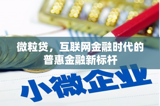 岑巩微粒贷，互联网金融时代的普惠金融新标杆