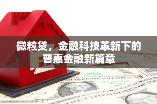 市中区微粒贷，金融科技革新下的普惠金融新篇章