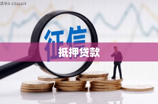 大武抵押贷款