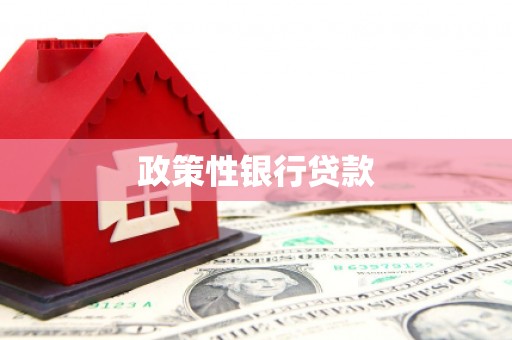 勐海政策性银行贷款