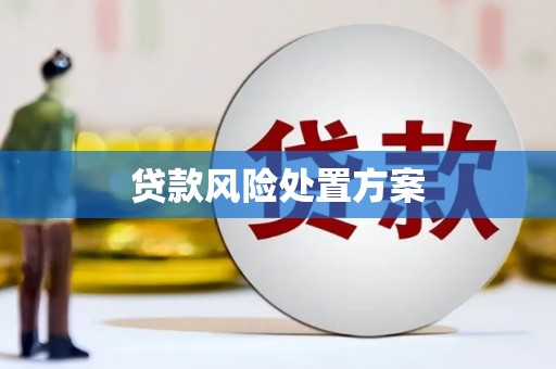 海东贷款风险处置方案