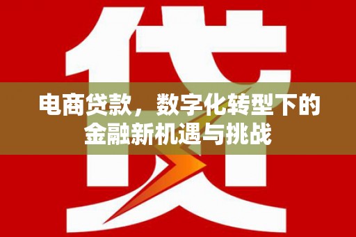夏邑电商贷款，数字化转型下的金融新机遇与挑战