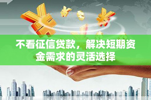 庆元不看征信贷款，解决短期资金需求的灵活选择