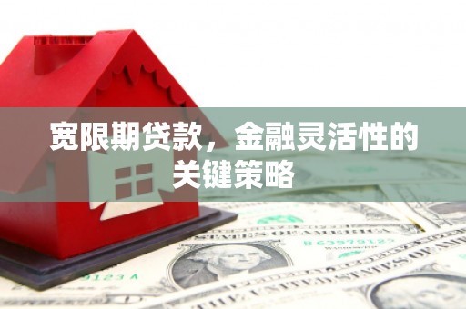 长白宽限期贷款，金融灵活性的关键策略
