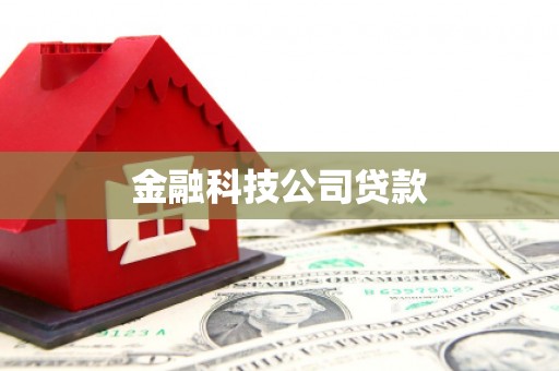 泗水金融科技公司贷款