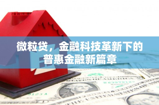 迪庆微粒贷，金融科技革新下的普惠金融新篇章