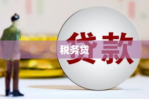 保德税务贷