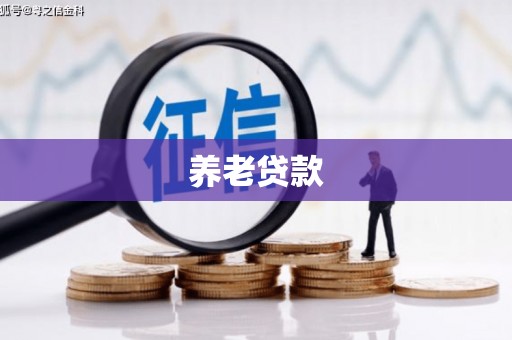 麦积养老贷款