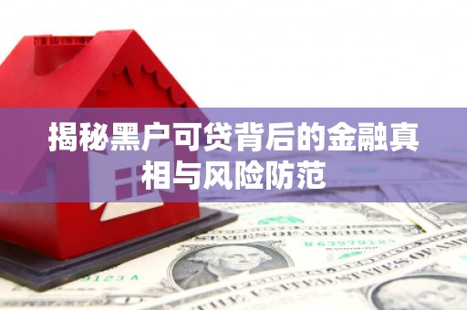枞阳揭秘黑户可贷背后的金融真相与风险防范