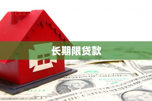 云林长期限贷款