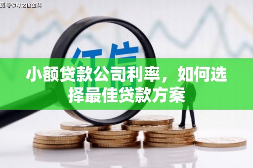 官渡小额贷款公司利率，如何选择最佳贷款方案