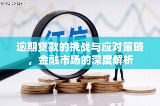 迭部逾期贷款的挑战与应对策略，金融市场的深度解析