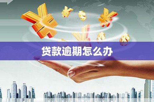 安县贷款逾期怎么办