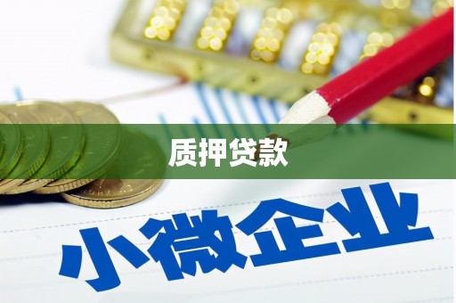 衡阳质押贷款