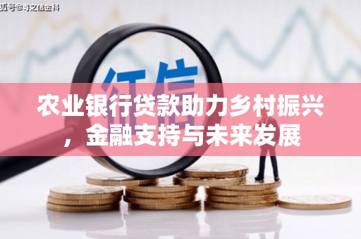 驻马店农业银行贷款助力乡村振兴，金融支持与未来发展
