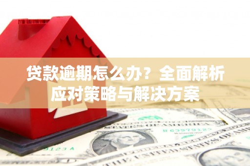 清涧贷款逾期怎么办？全面解析应对策略与解决方案