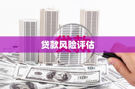葵青贷款风险评估
