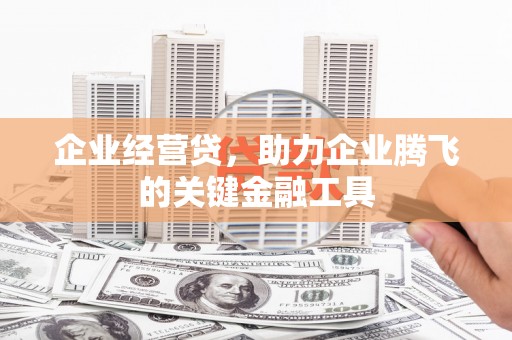黄平企业经营贷，助力企业腾飞的关键金融工具