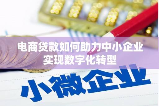阜康电商贷款如何助力中小企业实现数字化转型