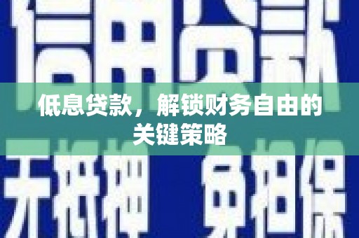 西夏低息贷款，解锁财务自由的关键策略