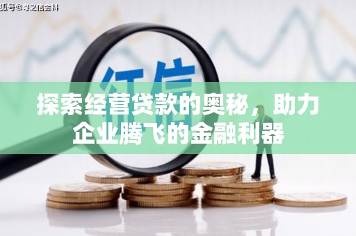 岑巩探索经营贷款的奥秘，助力企业腾飞的金融利器