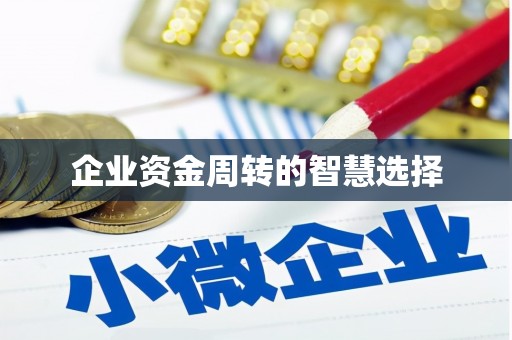 墨玉企业资金周转的智慧选择
