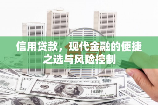 沈河信用贷款，现代金融的便捷之选与风险控制