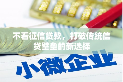 湖南不看征信贷款，打破传统信贷壁垒的新选择
