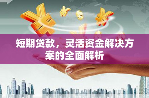 宜黄短期贷款，灵活资金解决方案的全面解析