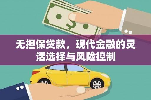 赫山无担保贷款，现代金融的灵活选择与风险控制