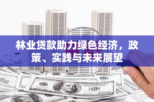 大甲林业贷款助力绿色经济，政策、实践与未来展望