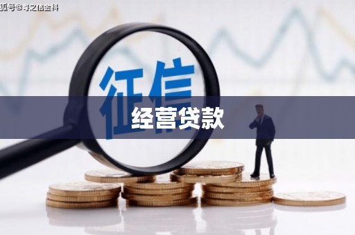 沙依巴克经营贷款