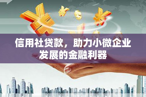 南岸信用社贷款，助力小微企业发展的金融利器