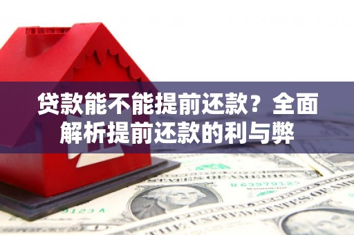 志丹贷款能不能提前还款？全面解析提前还款的利与弊
