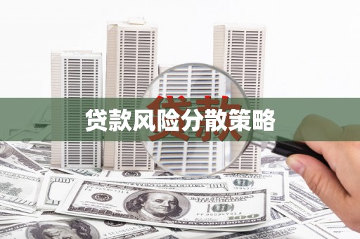 沙依巴克贷款风险分散策略