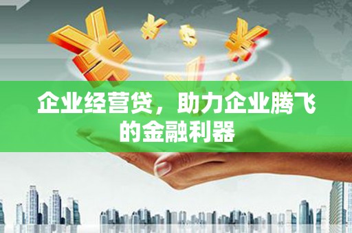 嘉祥企业经营贷，助力企业腾飞的金融利器
