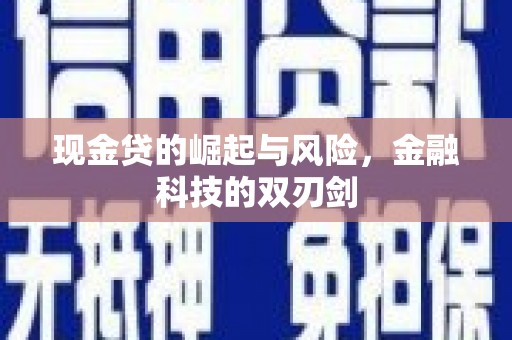 泰顺现金贷的崛起与风险，金融科技的双刃剑