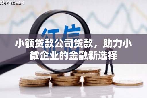 晋州小额贷款公司贷款，助力小微企业的金融新选择