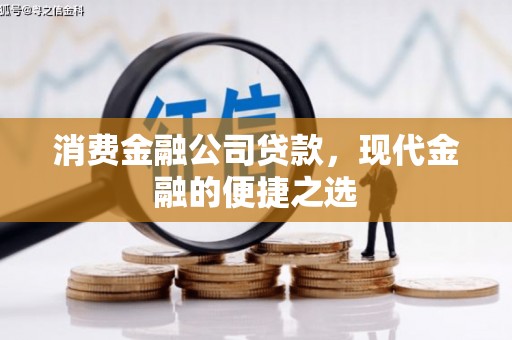 海南消费金融公司贷款，现代金融的便捷之选