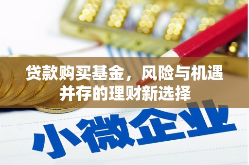 凤阳贷款购买基金，风险与机遇并存的理财新选择