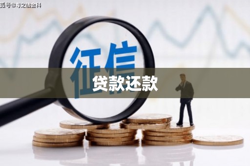 云霄贷款还款