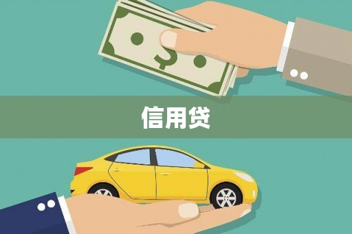 南溪信用贷