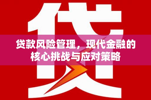 攀枝花贷款风险管理，现代金融的核心挑战与应对策略