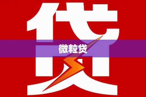 万秀微粒贷