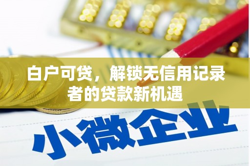 高邑白户可贷，解锁无信用记录者的贷款新机遇