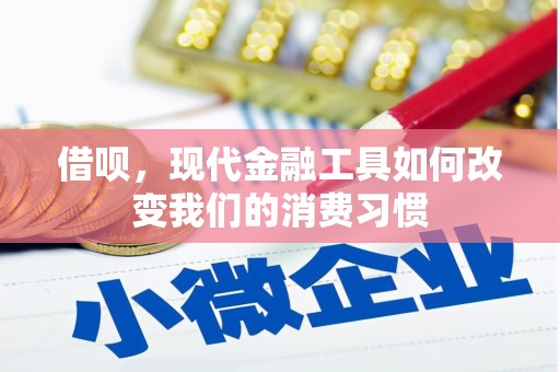 盐田借呗，现代金融工具如何改变我们的消费习惯
