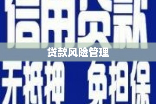振兴贷款风险管理