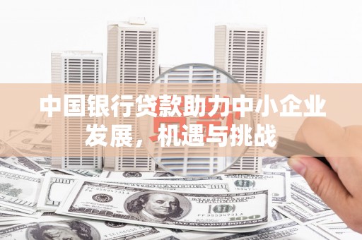 射阳中国银行贷款助力中小企业发展，机遇与挑战