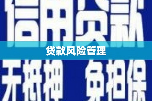 始兴贷款风险管理
