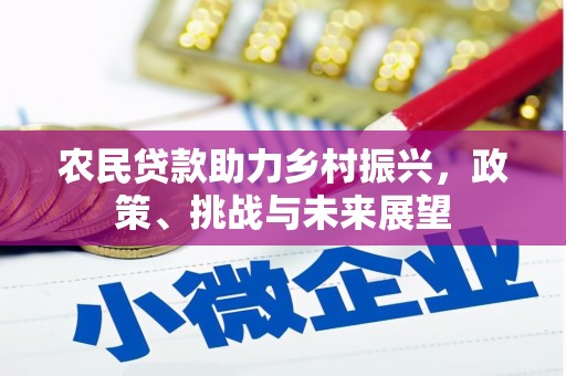 乐清农民贷款助力乡村振兴，政策、挑战与未来展望